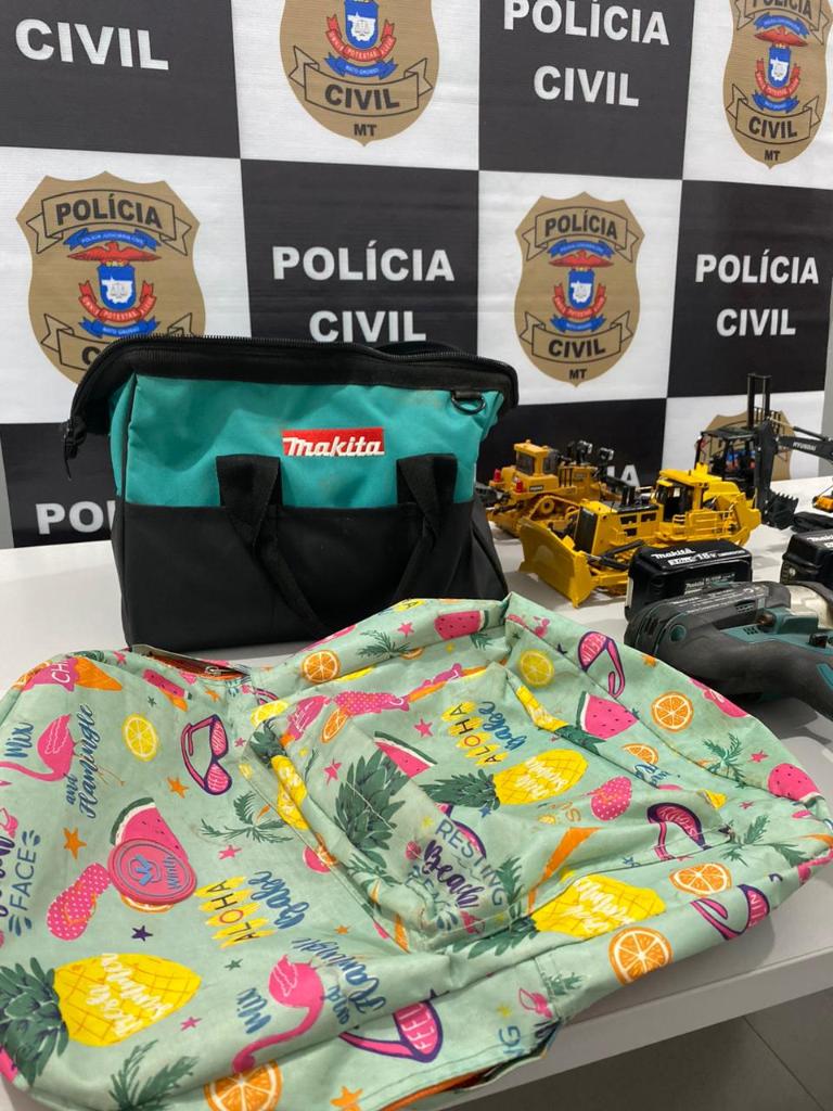 Polícia Civil prende autor de furtos em Matupá e recupera produtos roubados