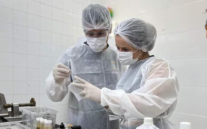 Perícia Oficial identifica vítima de acidente aéreo em Matupá