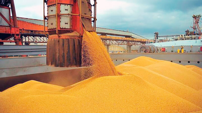 Exportação da soja de Mato Grosso cai 10%