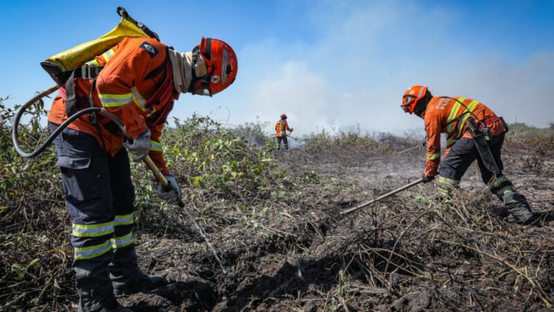 Corpo de Bombeiros de Mato Grosso combate incêndio florestal em Cáceres