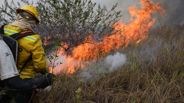 Corpo de Bombeiros Militar de Mato Grosso combate 27 incêndios florestais em todo o estado