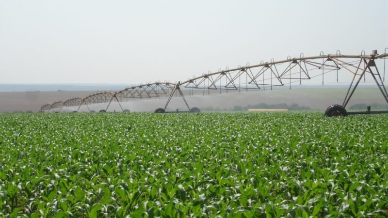 “Irrigação vai transformar a agricultura de Mato Grosso”, diz especialista