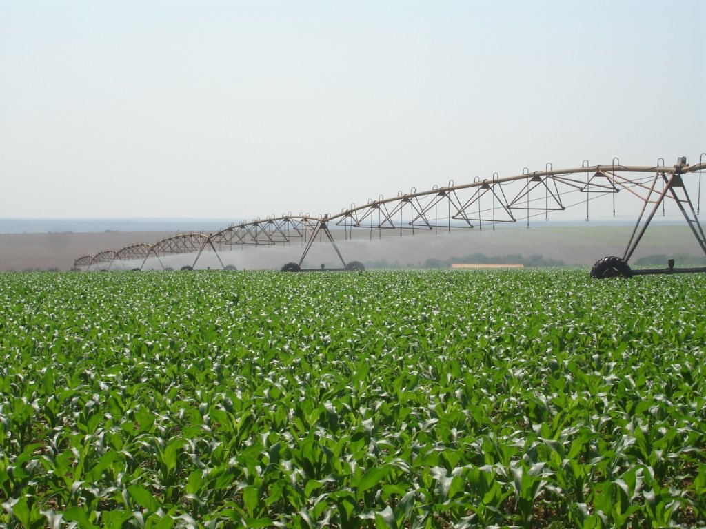 “Irrigação vai transformar a agricultura de Mato Grosso”, diz especialista