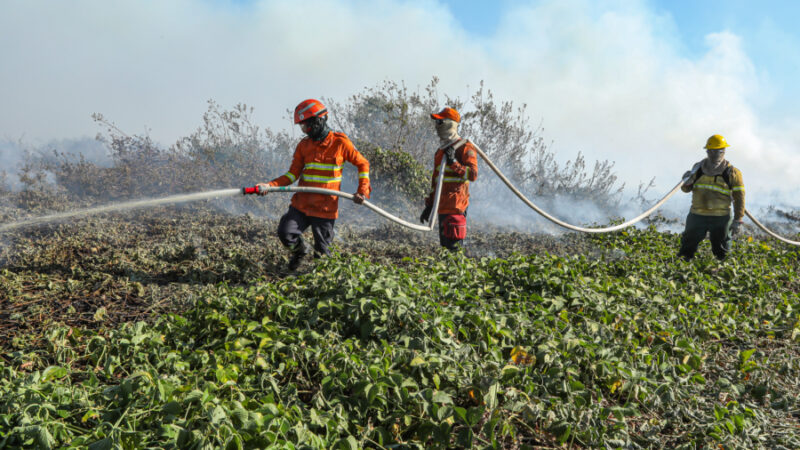 Corpo de Bombeiros de Mato Grosso combate 20 incêndios florestais em todo o estado