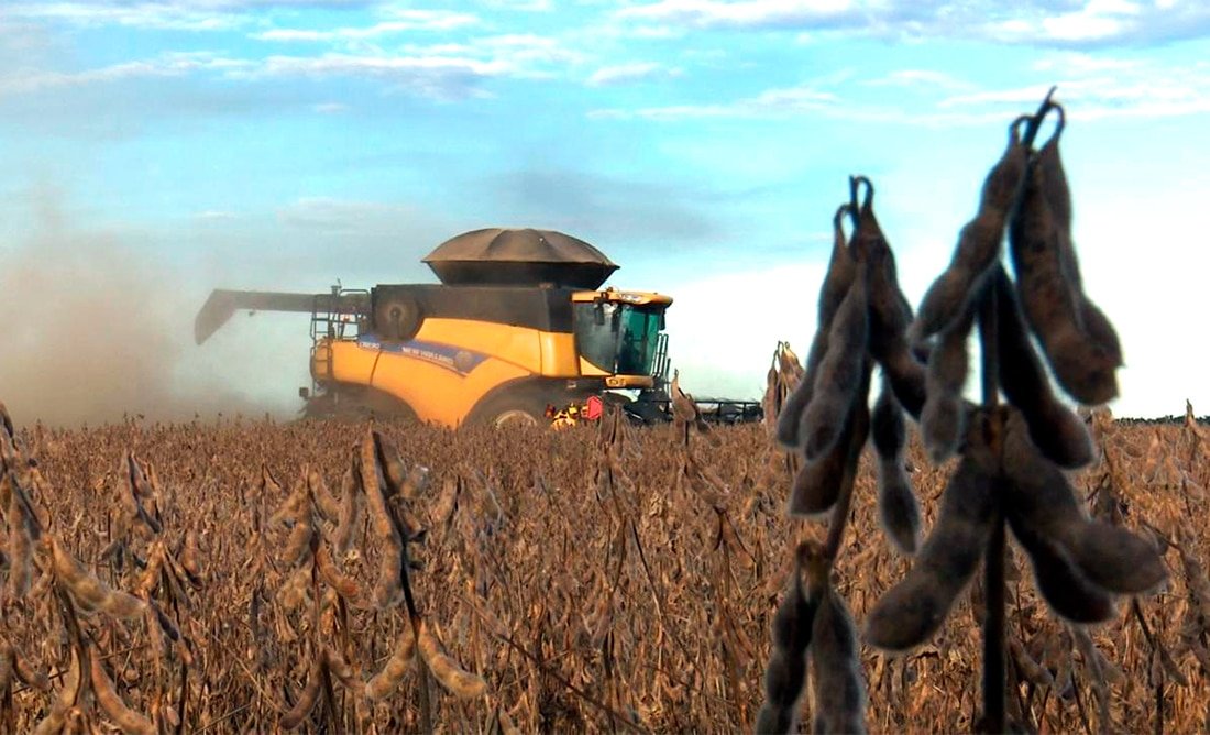 Nova estimativa indica aumento na área de soja e produtividade em Mato Grosso