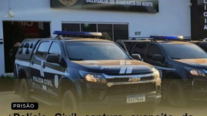 Polícia Civil captura suspeito de furto em comércio de Guarantã do Norte