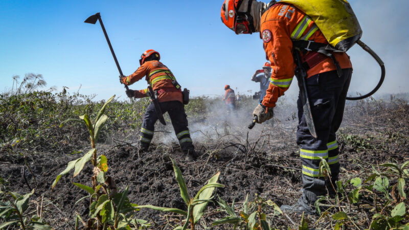 Corpo de Bombeiros do Mato Grosso divulga resultado de inscrições para brigadistas temporários