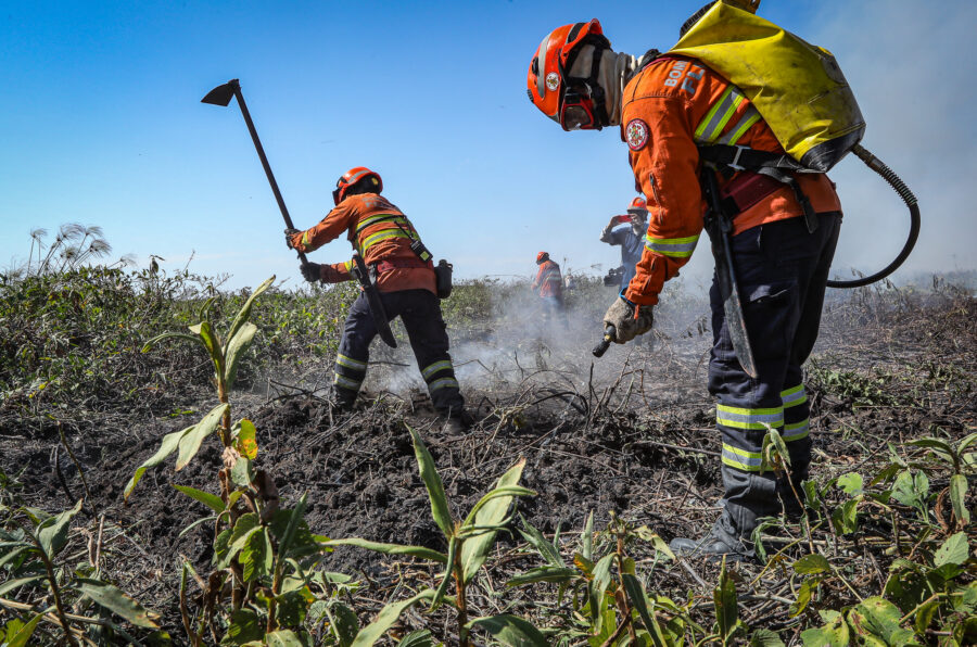 Corpo de Bombeiros do Mato Grosso divulga resultado de inscrições para brigadistas temporários