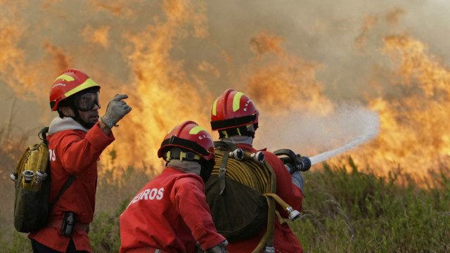 Governo envia aviões das Forças Armadas para combater incêndios em SP