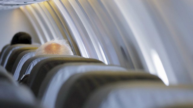 Governo dá 48 horas para Voepass detalhar condições de suas aeronaves