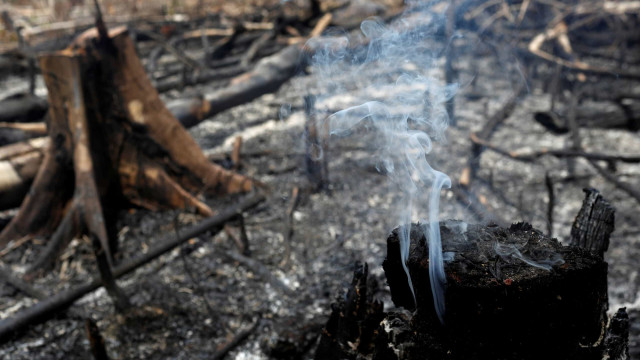 Fumaça de queimadas da amazônia e do pantanal causa cancelamento de voos em SC
