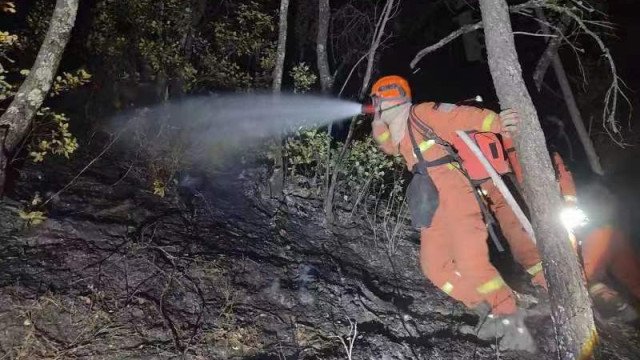 Incêndio florestal no Marajó ameaça invadir vila ribeirinha