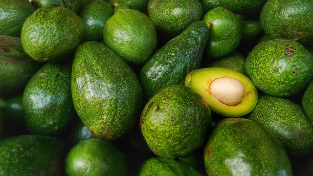 Costa Rica abre mercado para exportação de abacate do Brasil
