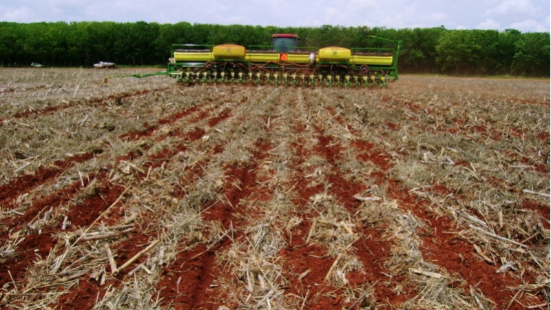 Plantio da soja em Mato Grosso deve ter atrasos devido a falta de chuva