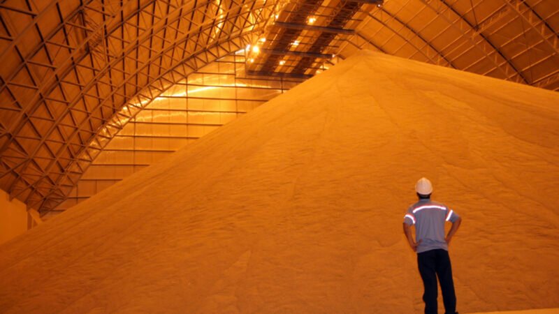 Produtores ampliam venda de milho em Mato Grosso também atrelado a melhora nos preços futuros