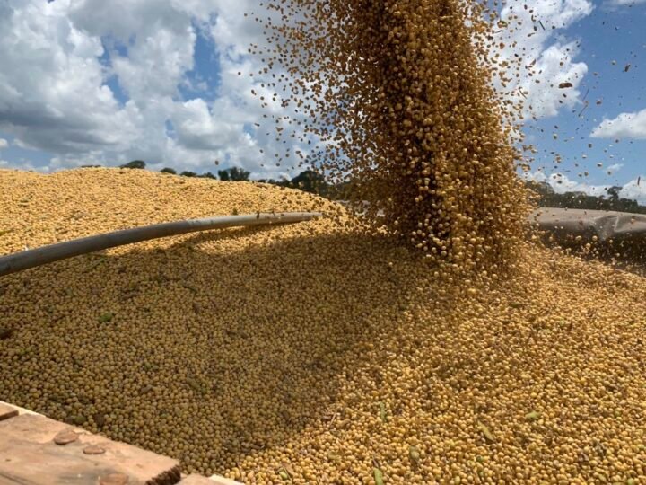 Soja disponível em Mato Grosso tem nova alta