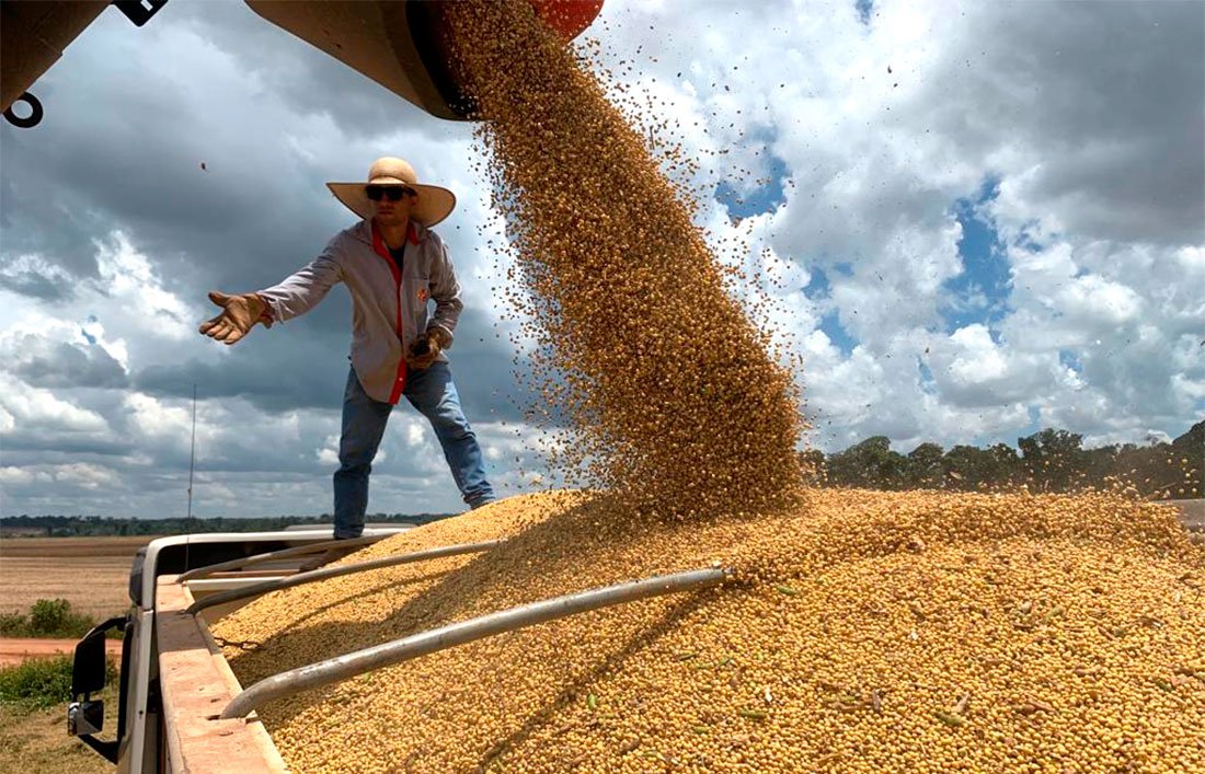 Venda de soja em Mato Grosso chega a 94% da safra 23/24 e preço tem queda