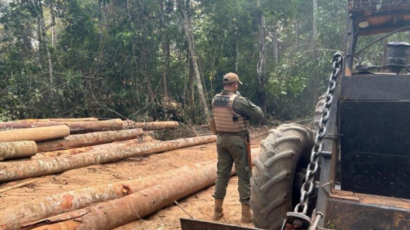 Polícia Civil deflagra Operação Escudo Verde para combater a extração ilegal de madeira em Mato Grosso