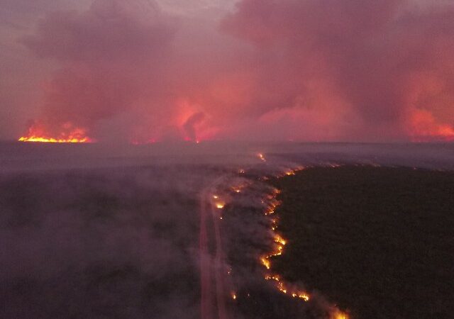 Mato Grosso: 112 pessoas indiciadas por incêndios florestais em 2024