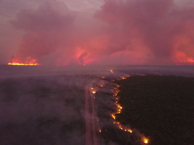 Mato Grosso: 112 pessoas indiciadas por incêndios florestais em 2024