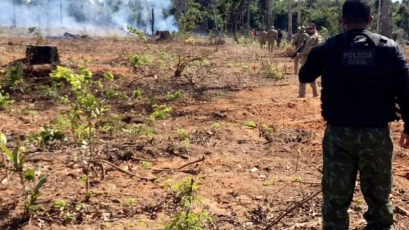 Aumento nos incêndios criminosos preocupa autoridades em Mato Grosso