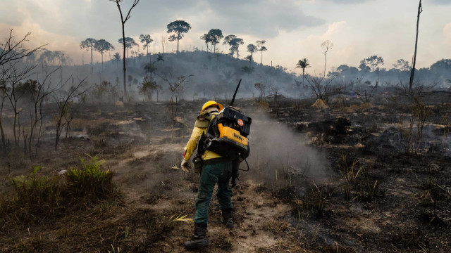 Focos de queimadas no Brasil se mantêm estáveis nas últimas 24 horas