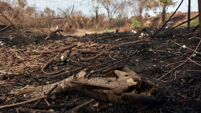 Parque da Chapada dos Veadeiros é fechado após incêndio