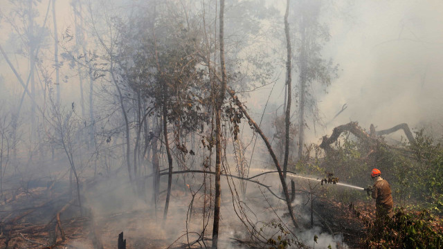 Incêndios podem ter afetado mais de 11 milhões de pessoas no Brasil