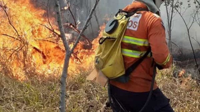 AM, MS e MT batem recorde de emissões de carbono por queimadas