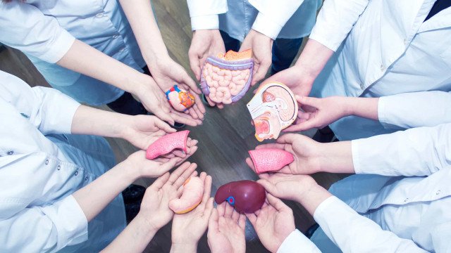 Em média, 3.000 brasileiros morrem por ano à espera de transplante de órgãos