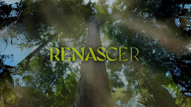 ‘Renascer’ termina abaixo do esperado na Globo e com audiência morna
