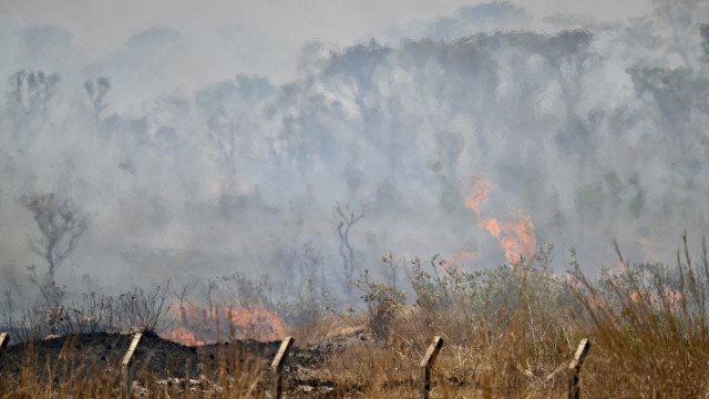 Fogo em Brasília cruza rio, quadruplica em poucas horas e abre novas frentes de incêndio