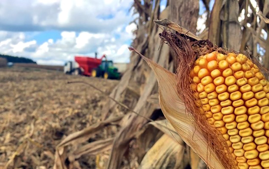 Fertilizantes mais caros em Mato Grosso mas cotação do milho fica maior