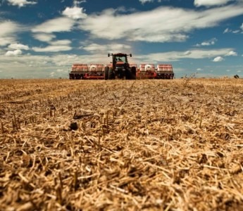 Ritmo do plantio da soja em Mato Grosso aumenta com chuvas