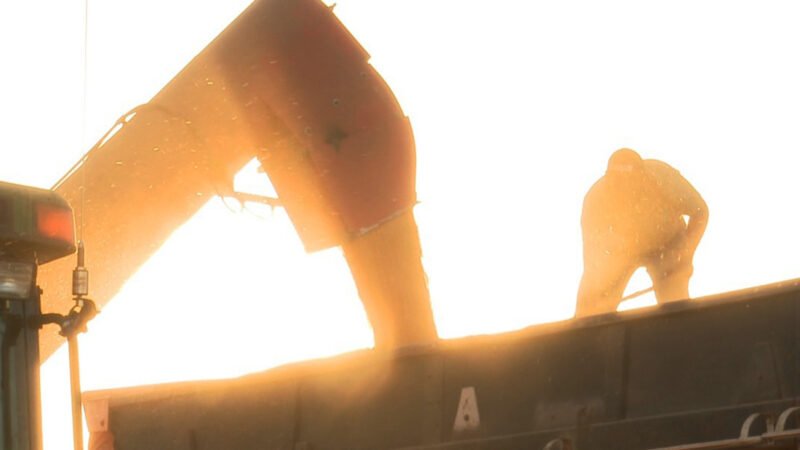 Estudo aponta que área de milho em Mato Grosso crescerá 60% em 10 anos e preço a R$ 122