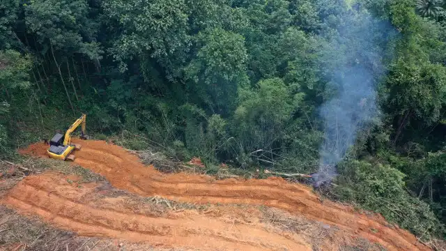 Área de desmatamento ilegal cresce 19% na amazônia em um ano