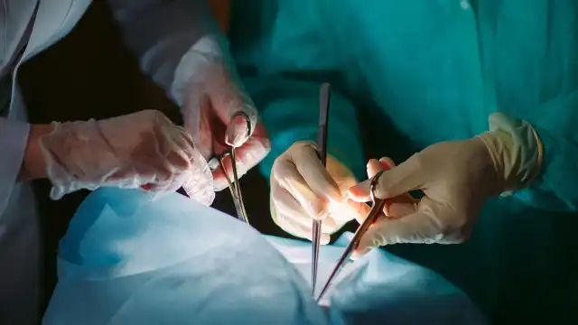 Pacientes receberam coração, rins, fígado e córnea de doadores infectados por HIV