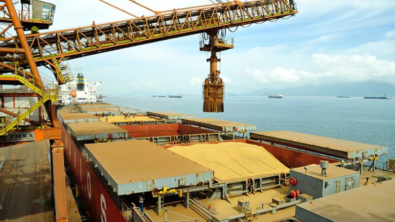 Mais de 60% do milho de Mato Grosso é escoado via portos do Arco Norte