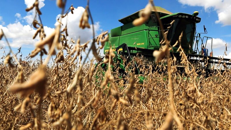 Termina na próxima semana o prazo para plantio da soja em Mato Grosso