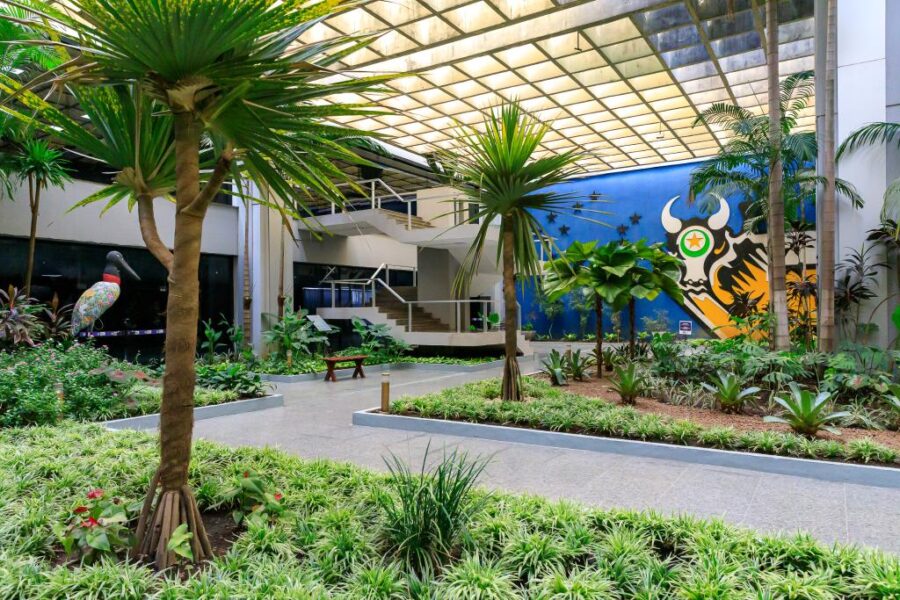 Mato Grosso lidera o ranking de solvência fiscal e se destaca na gestão de recursos públicos