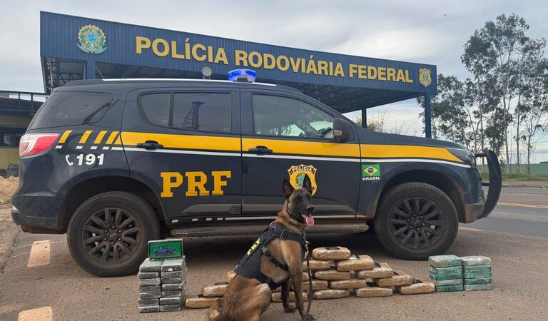 PRF apreende 46,82 kg de drogas durante fiscalização na BR-364 em Alto Garças