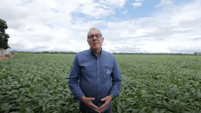 Abertura nacional da colheita da soja é na próxima semana em Santa Carmem