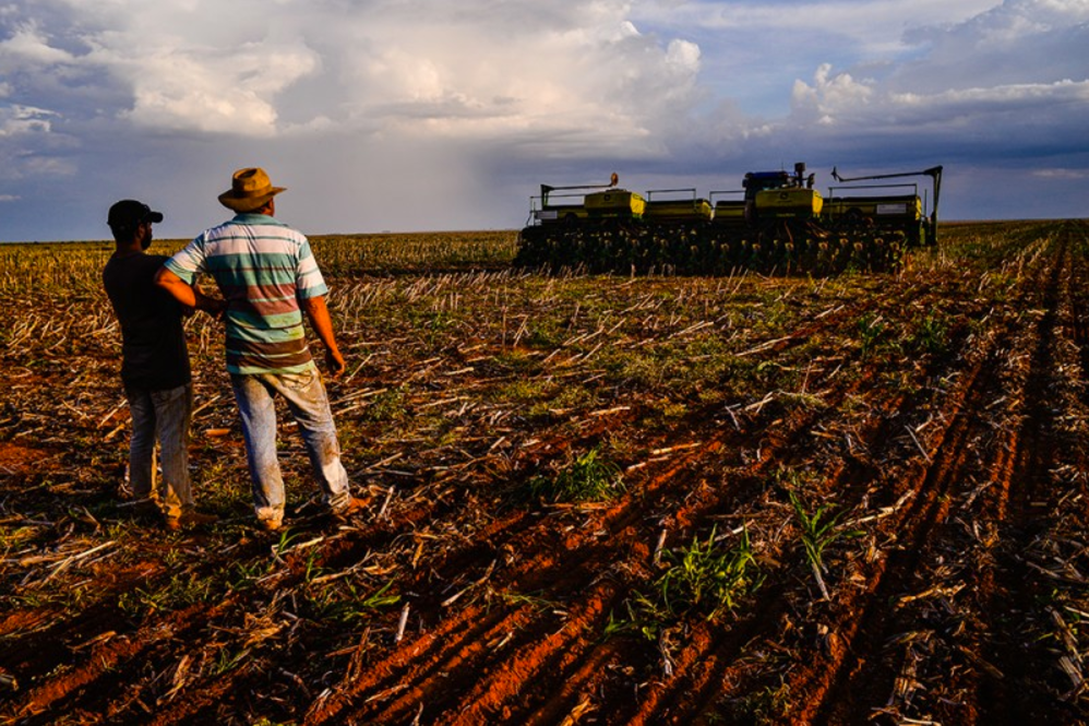 Atraso na colheita da soja em Mato Grosso posterga plantio do milho, constata IMEA
