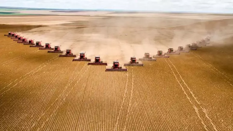 Mato Grosso deve crescer 4,1% em 2025, destacando-se entre os maiores avanços do Brasil