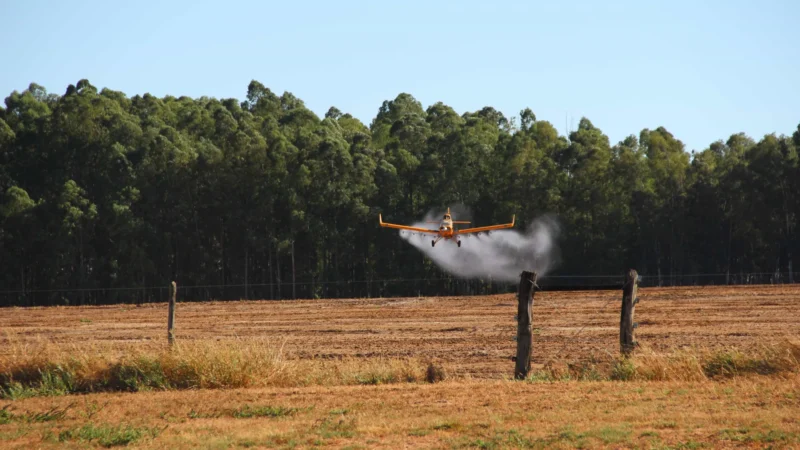 Piloto morre após aeronave de pulverização agrícola cair em MG