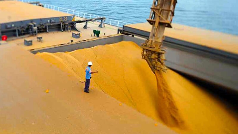 Indústrias de Sinop ampliam volume de negócios com exportações; R$ 329 milhões