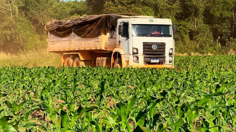 Produtores de soja de MT têm até o dia 15 para cadastrar áreas de produção; multa de R$ 2,4 mil