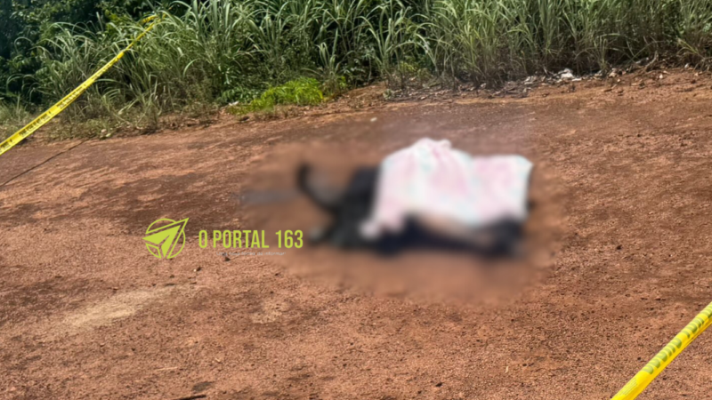 Corpo carbonizado é encontrado em Terra Nova do Norte