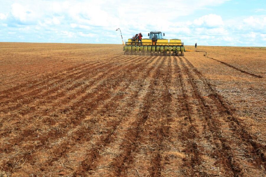 Indea prorroga prazo para cadastro de sojicultores em Mato Grosso