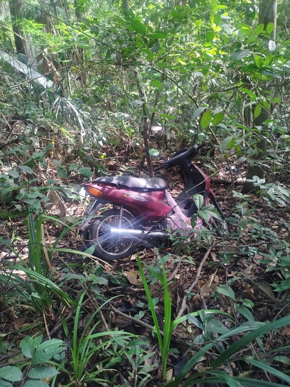 Operação Tolerância Zero: Honda Biz é recuperada pela Polícia Militar em Guarantã do Norte